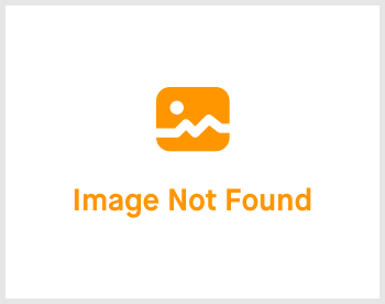 Logo Raad voor het openbaar bestuur
