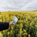 Tips om geld te besparen op je vakantie