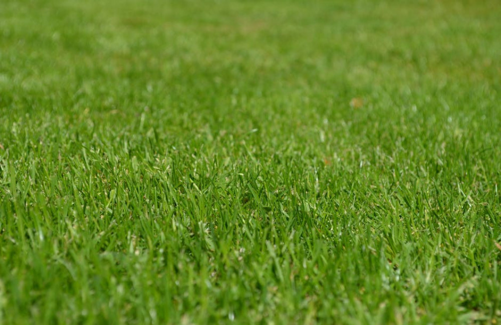 Voordelig kunstgras voor de tuin