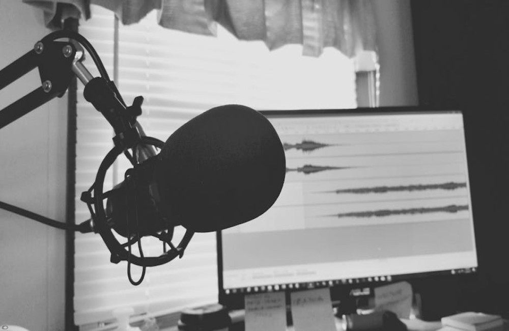Welke services bieden Nederlandse voice-over bedrijven?