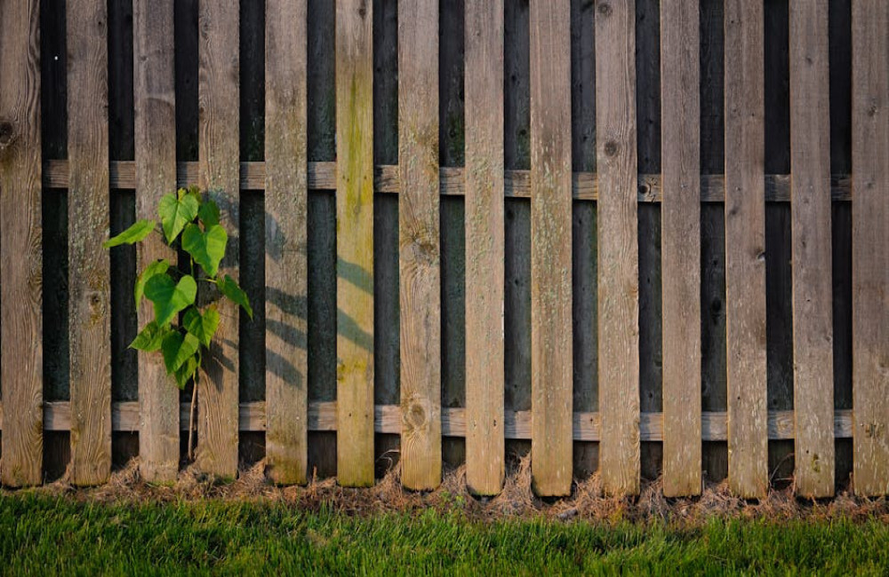 Waarom een hout-betonschutting de ultieme keuze is voor een stormvaste tuin